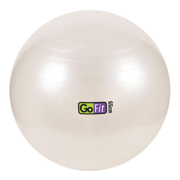 GoFit Stability Ball with Pump